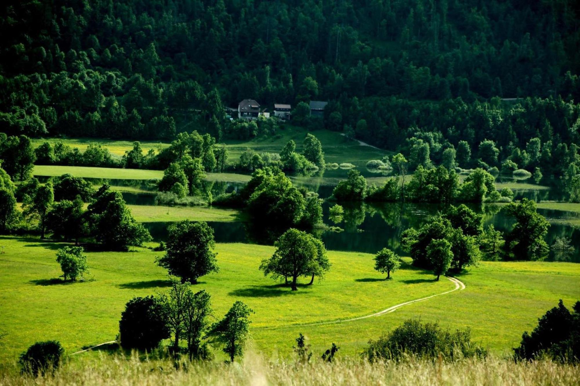 Apartment Sefic Planina  Eksteriør billede