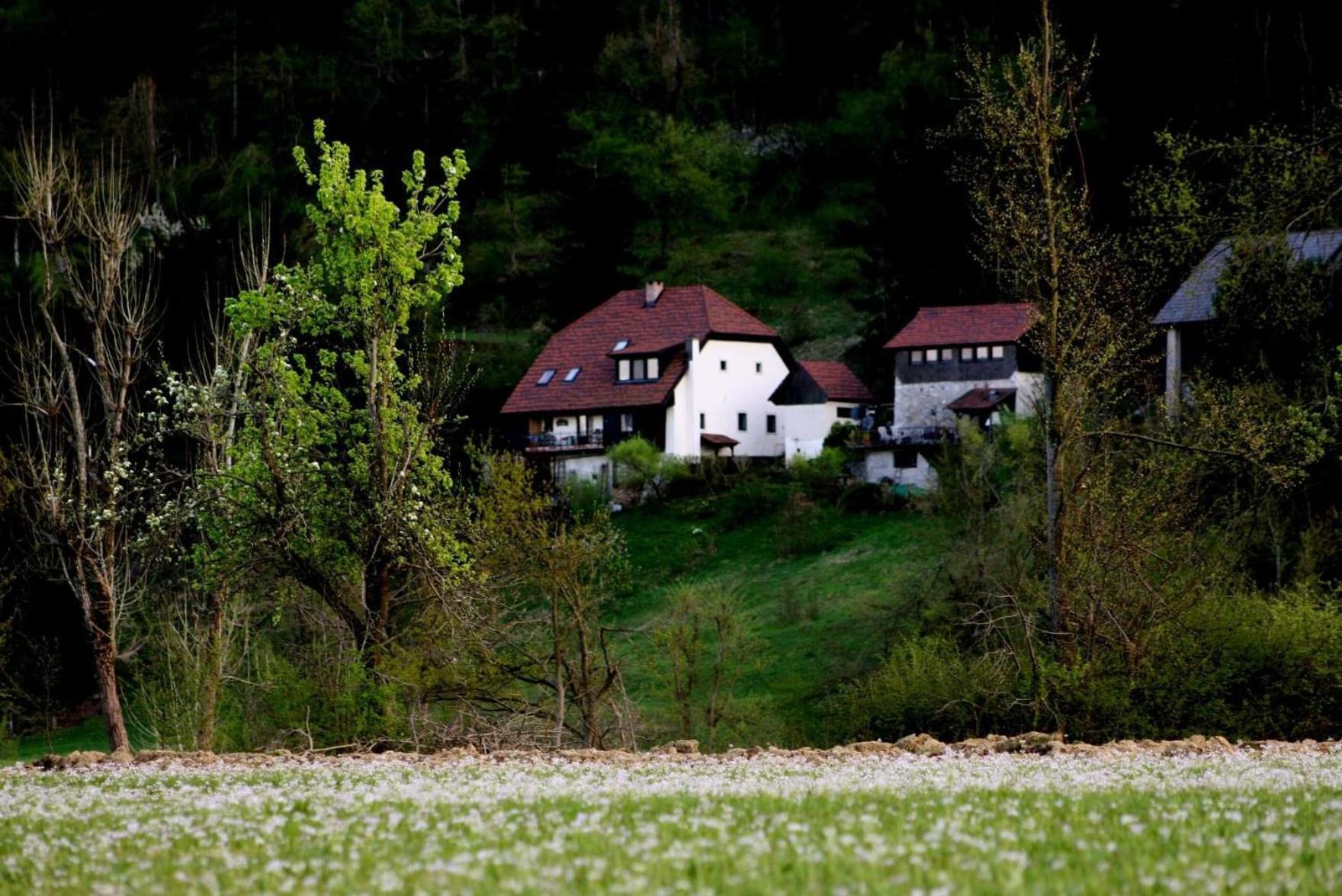 Apartment Sefic Planina  Eksteriør billede